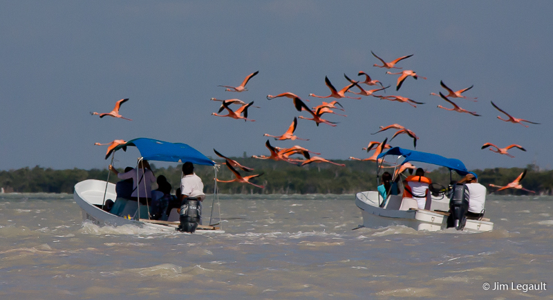 barco-rio-lagartos