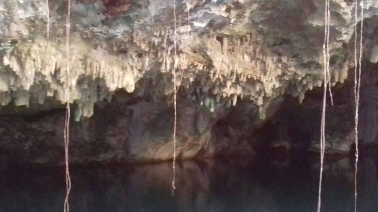 cenote-akumal