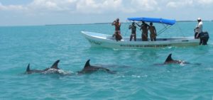 sian ka an delfin