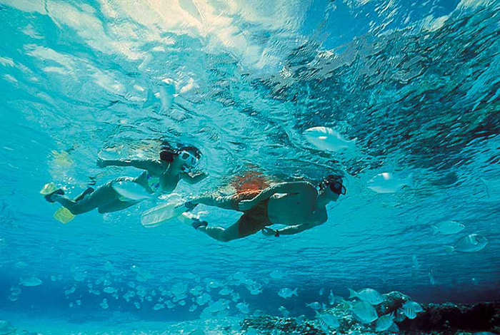 snorkeling-isla-mujeres