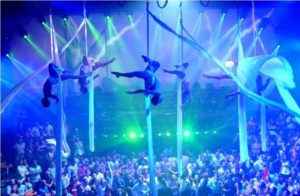 ver y disfrutar de 20 shows