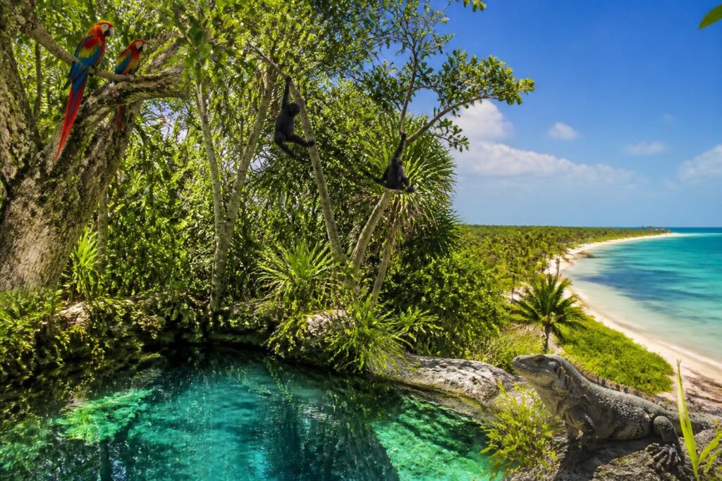 explora sian ka'an, un patrimonio mundial poco conocido, y descubre su impresionante biodiversidad y belleza natural.
