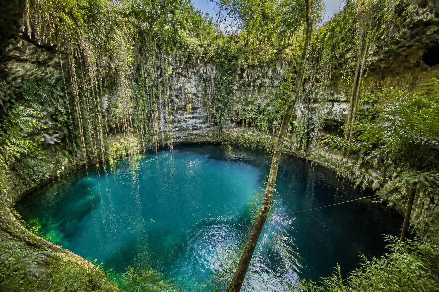 descubre las diferencias entre cenotes abiertos, semiabiertos y en cueva. aprende sobre sus características únicas y curiosidades que los hacen fascinantes y especiales.