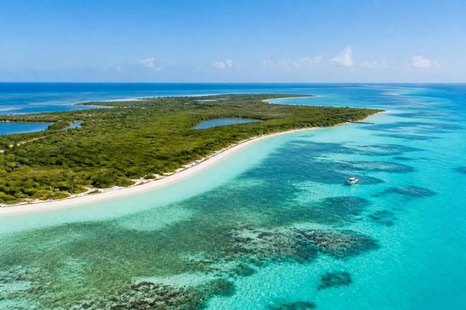 descubre isla contoy, la isla virgen que preserva el paraíso natural del caribe mexicano, un santuario de biodiversidad y belleza incomparable.