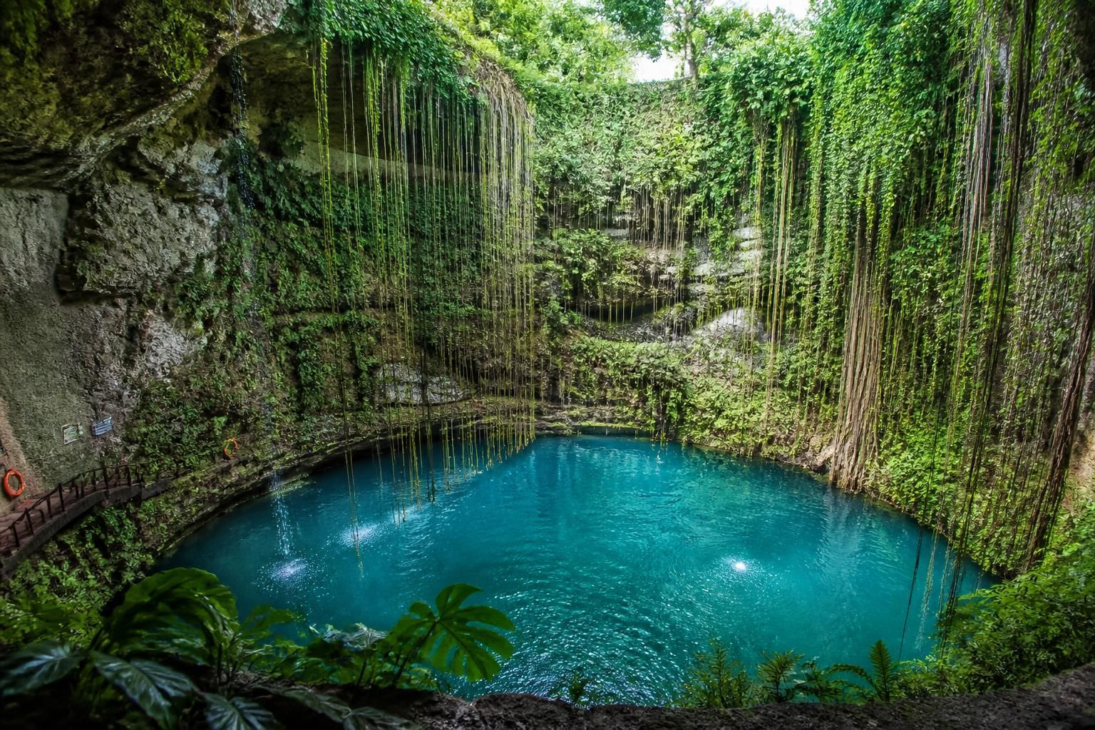 descubre los mejores cenotes cerca de chichén itzá para vivir una aventura inolvidable, rodeado de naturaleza y refrescantes aguas cristalinas.