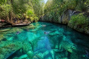 Los mejores cenotes cerca de chichén itzá para una aventura inolvidable