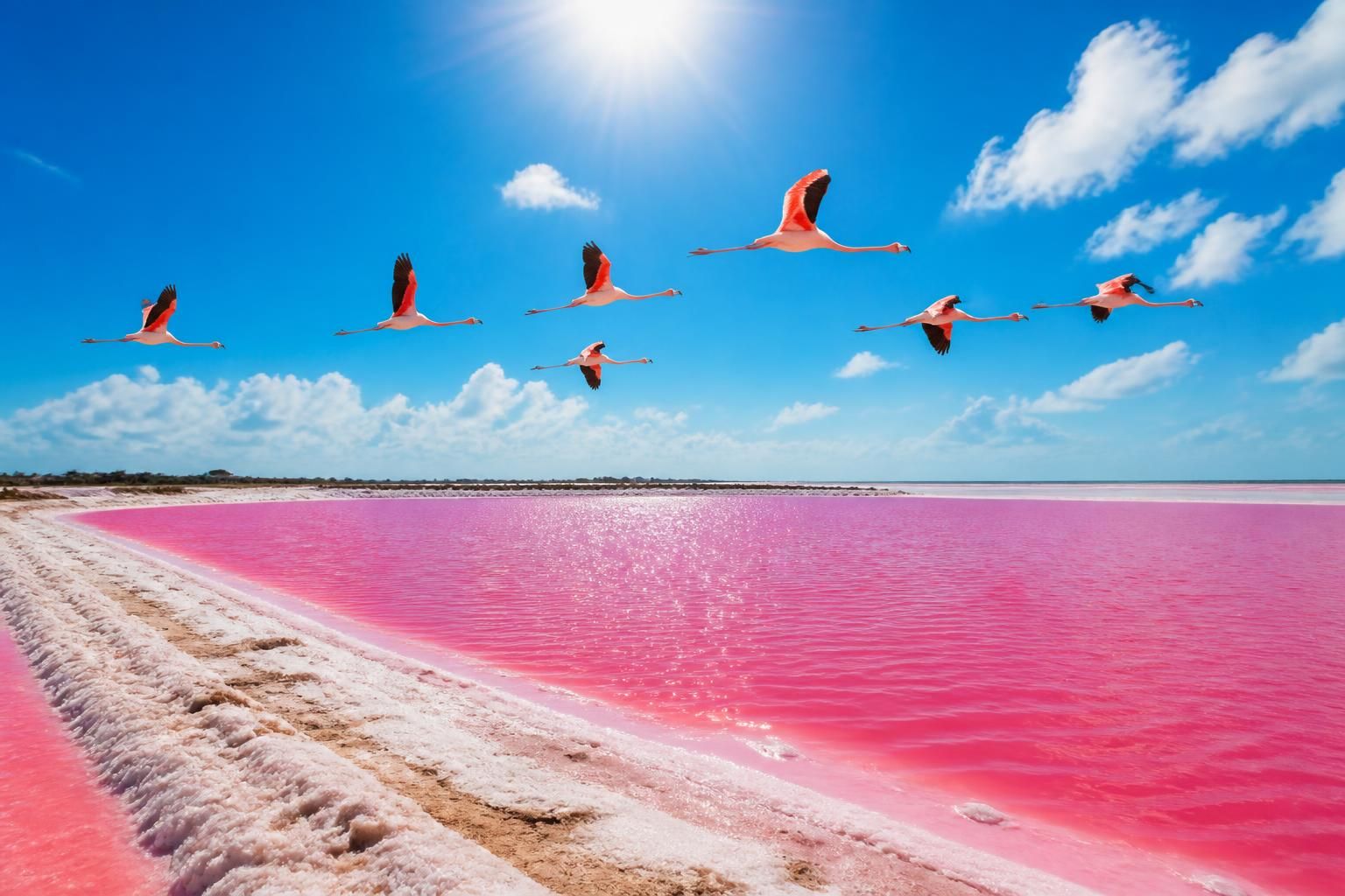 descubre la mejor época del año para contemplar las coloradas más rosadas y disfruta de un paisaje único e inolvidable lleno de colores vibrantes y belleza natural.