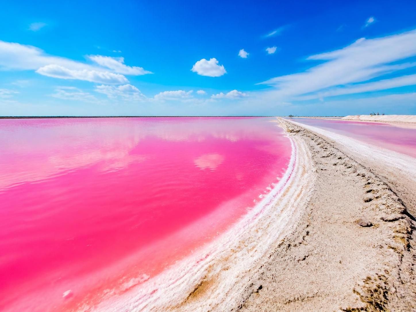 descubre por qué el agua de las coloradas es rosa y qué la hace tan especial, explorando sus características únicas y el fenómeno natural detrás de su coloración.