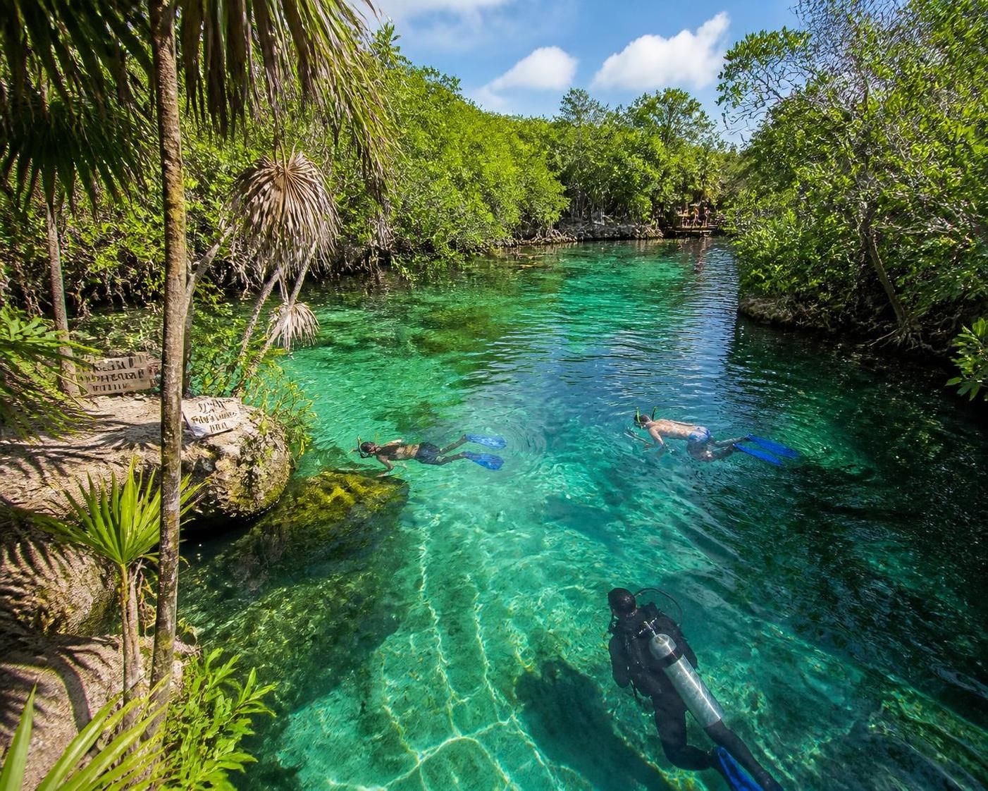 descubre casa cenote cerca de tulum, un lugar ideal para snorkel y buceo en un entorno natural único lleno de aventura y belleza subacuática.