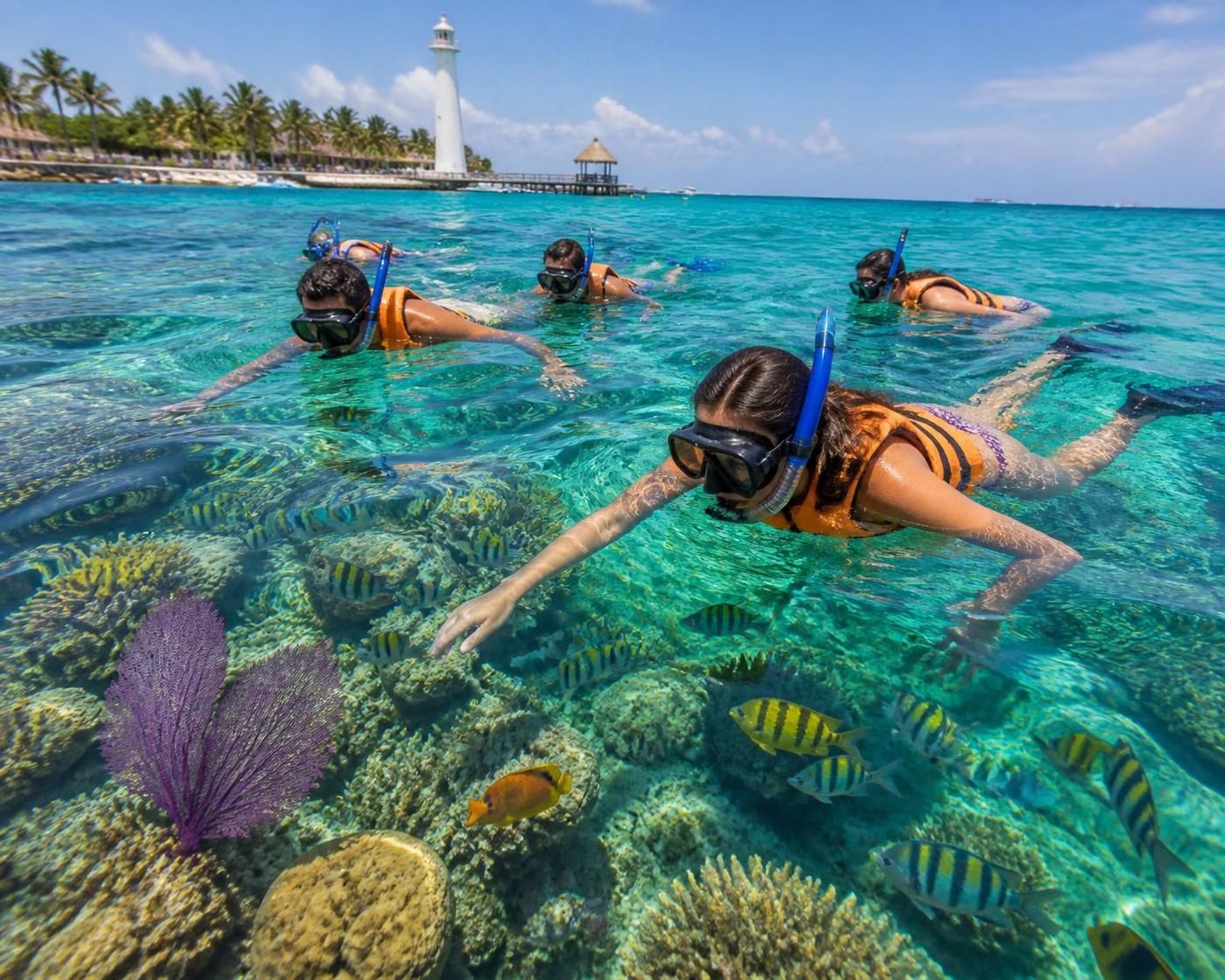 explora el hermoso arrecife de puerto morelos, un paraíso para el snorkel cerca de playa del carmen. disfruta de aguas cristalinas y vida marina impresionante en esta experiencia única.