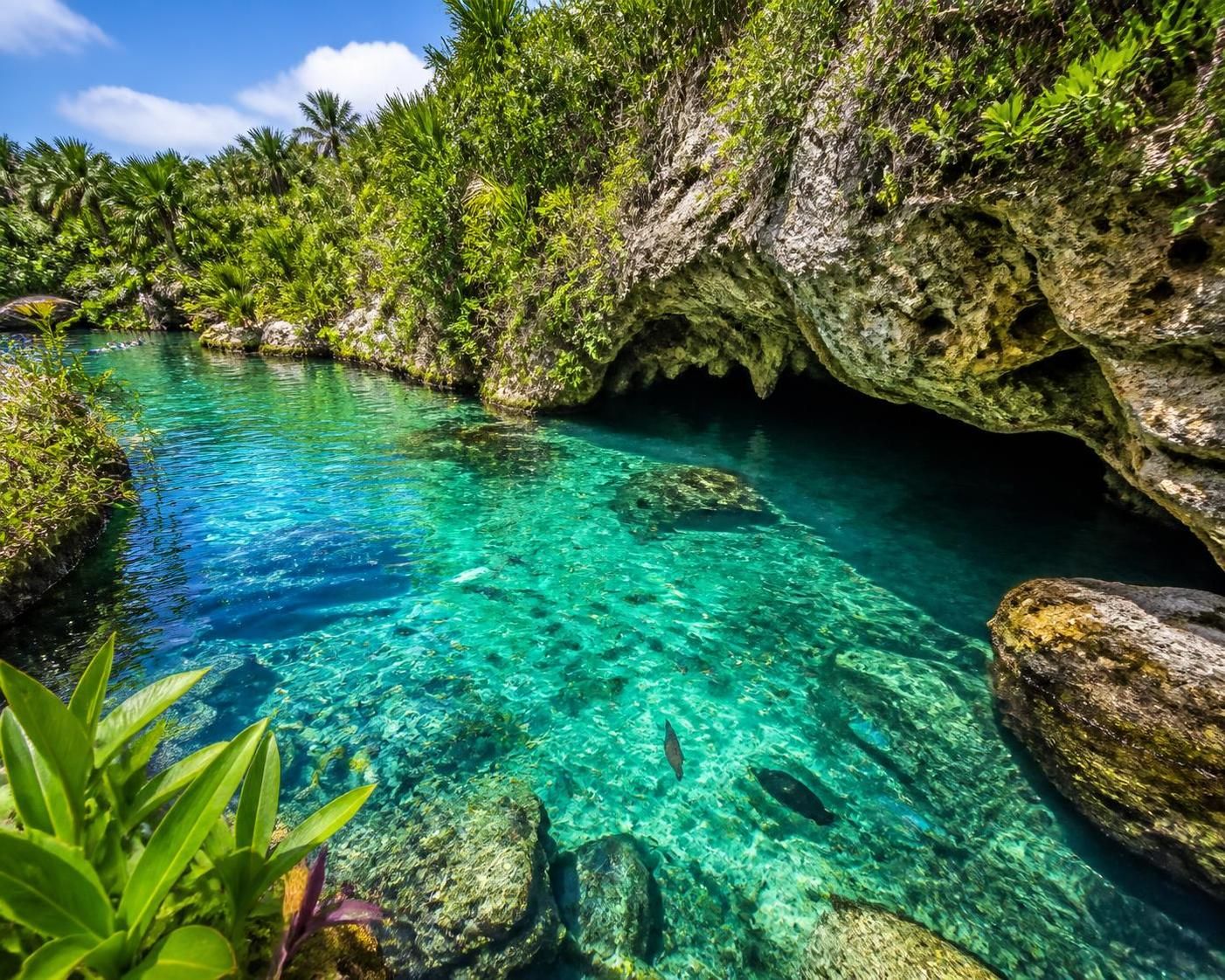 explora el río subterráneo más largo del mundo en xel-há y maravíllate con su belleza natural única y paisajes impresionantes.
