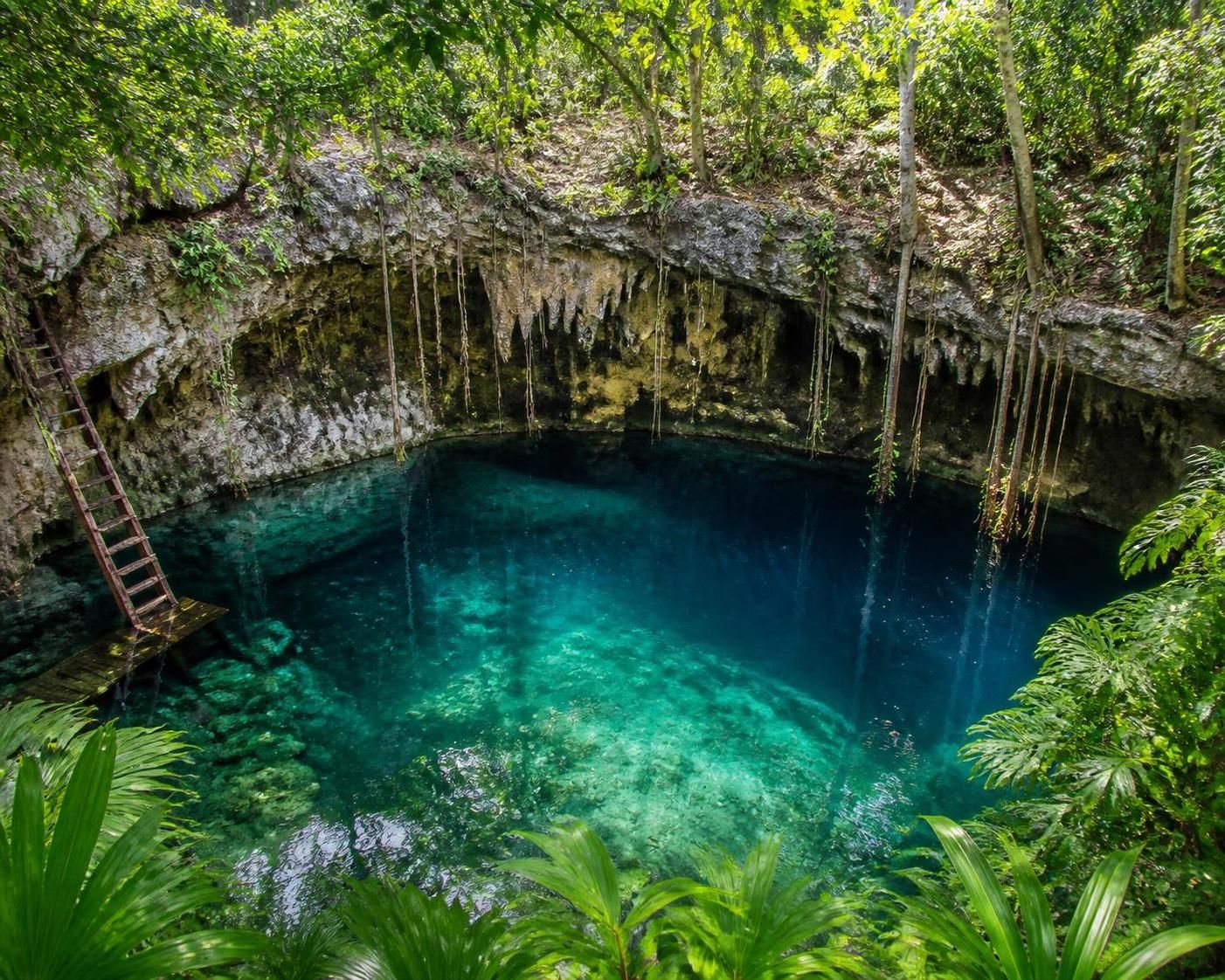 explora la formación de los cenotes y descubre la ciencia fascinante detrás de este fenómeno natural único en méxico.