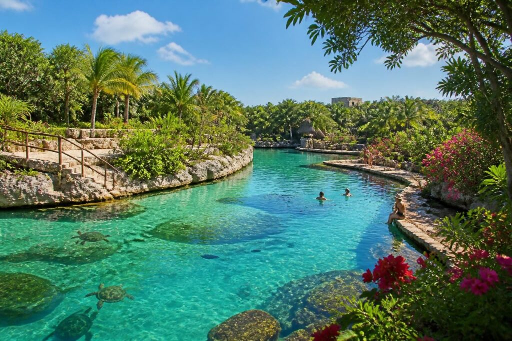 descubre la mejor época para visitar xcaret con menos turistas y aprovechar al máximo tu experiencia en este parque natural emblemático de méxico.