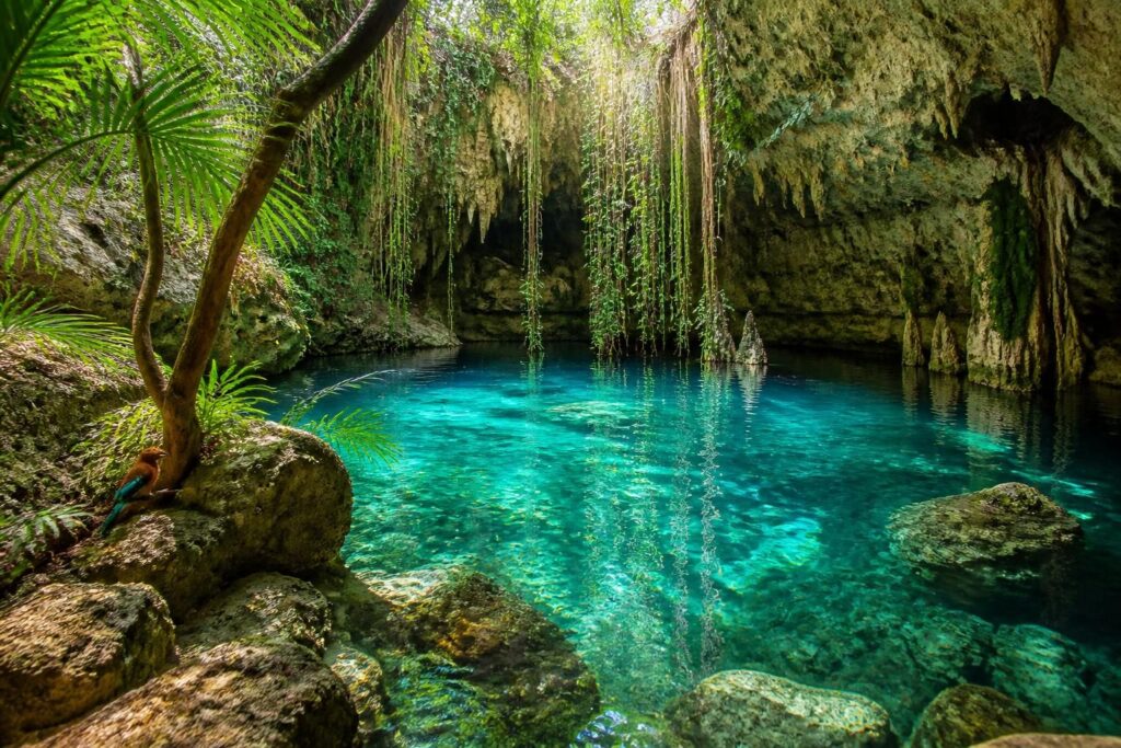 explora los mejores cenotes de la riviera maya en 2026. descubre el top 10 imprescindible para vivir aventuras únicas en aguas cristalinas y paisajes naturales increíbles.