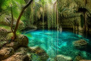 Mejores cenotes de la Riviera Maya: descubre el top 10 imprescindible en 2026