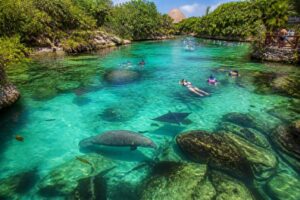Parque Xel-Há: guía completa del acuario natural y sus maravillas