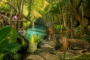 Qué verás en isla de los jaguares en xcaret: guía completa para visitantes