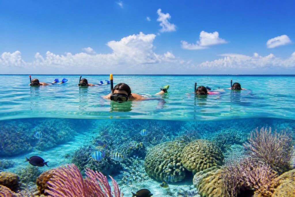 explora el tour del cielo en cozumel y disfruta del snorkel en las cristalinas aguas entre colombia y el cielo, un paraíso natural único.