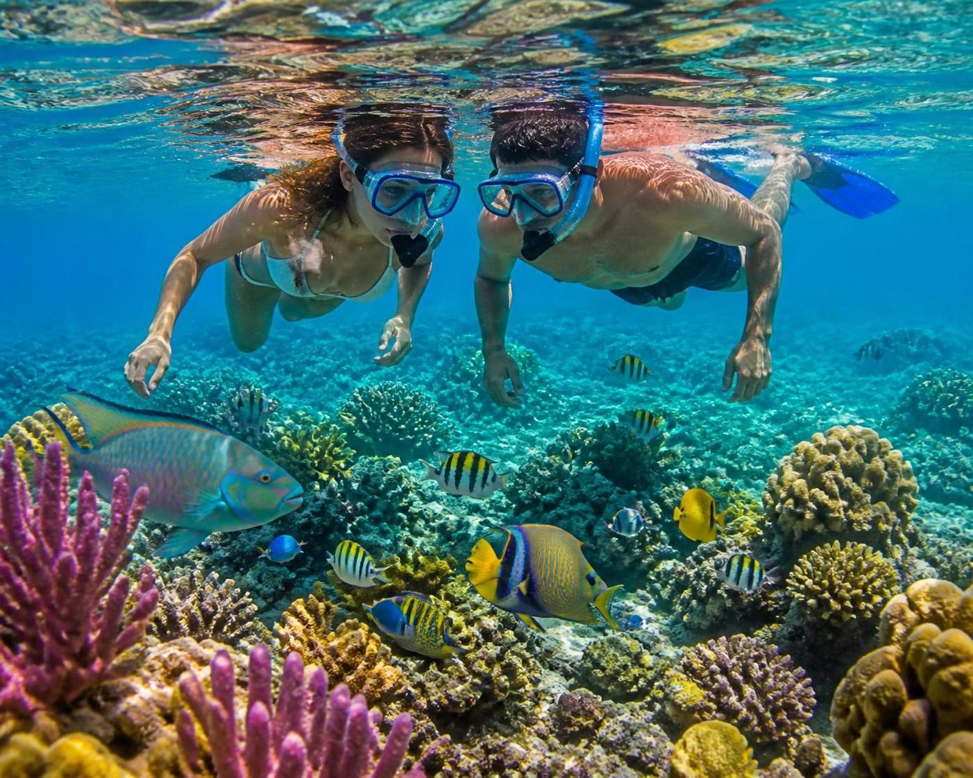 descubre las diferencias entre snorkel y buceo para elegir la mejor opción en tu primera experiencia en el caribe. ¡explora el mar con seguridad y diversión!