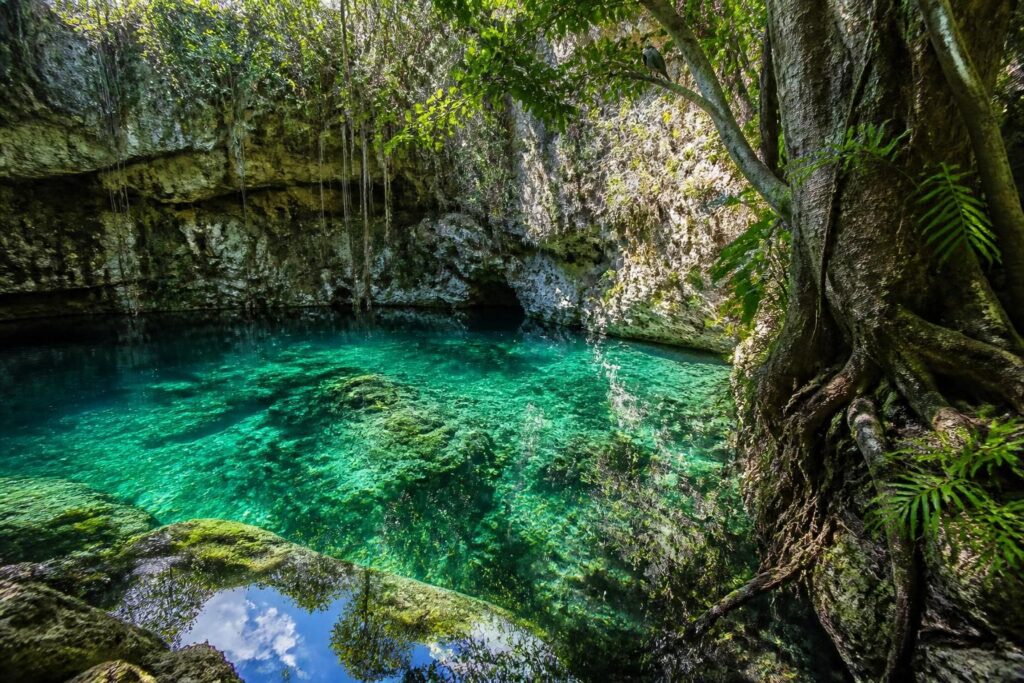 descubre datos fascinantes y poco conocidos sobre los cenotes de yucatán, sus orígenes, secretos y la belleza natural que esconden.