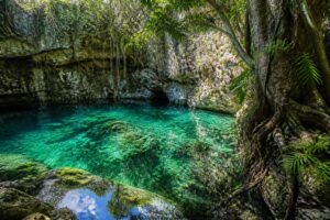 Datos curiosos sobre los cenotes de yucatán que no conocías